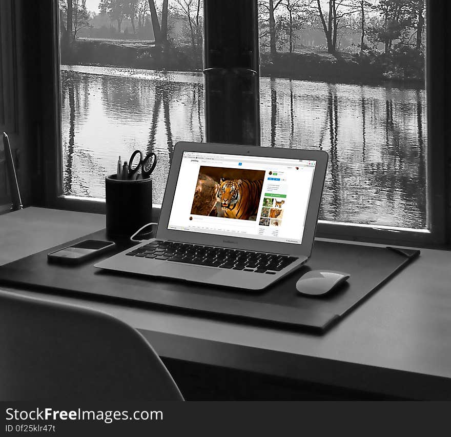 Computer on a desk together with a mouse and mobile phone and tiger displayed on the computer screen. The desk is positioned in front of a window with a view of a lake. Computer on a desk together with a mouse and mobile phone and tiger displayed on the computer screen. The desk is positioned in front of a window with a view of a lake.