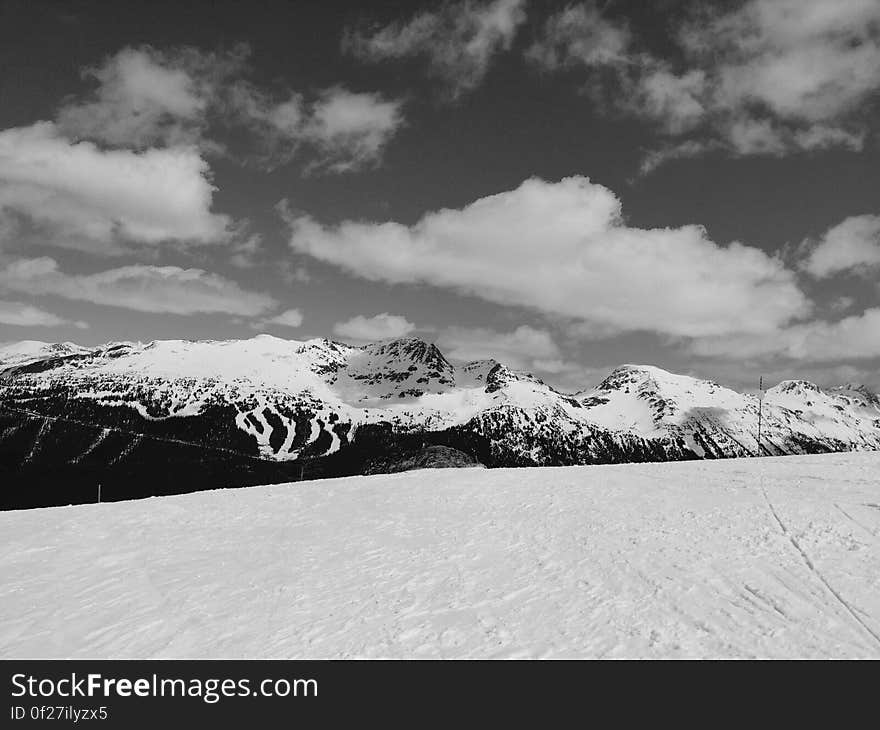 Tri X blackcomb