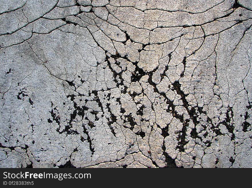 cracked sidewalk