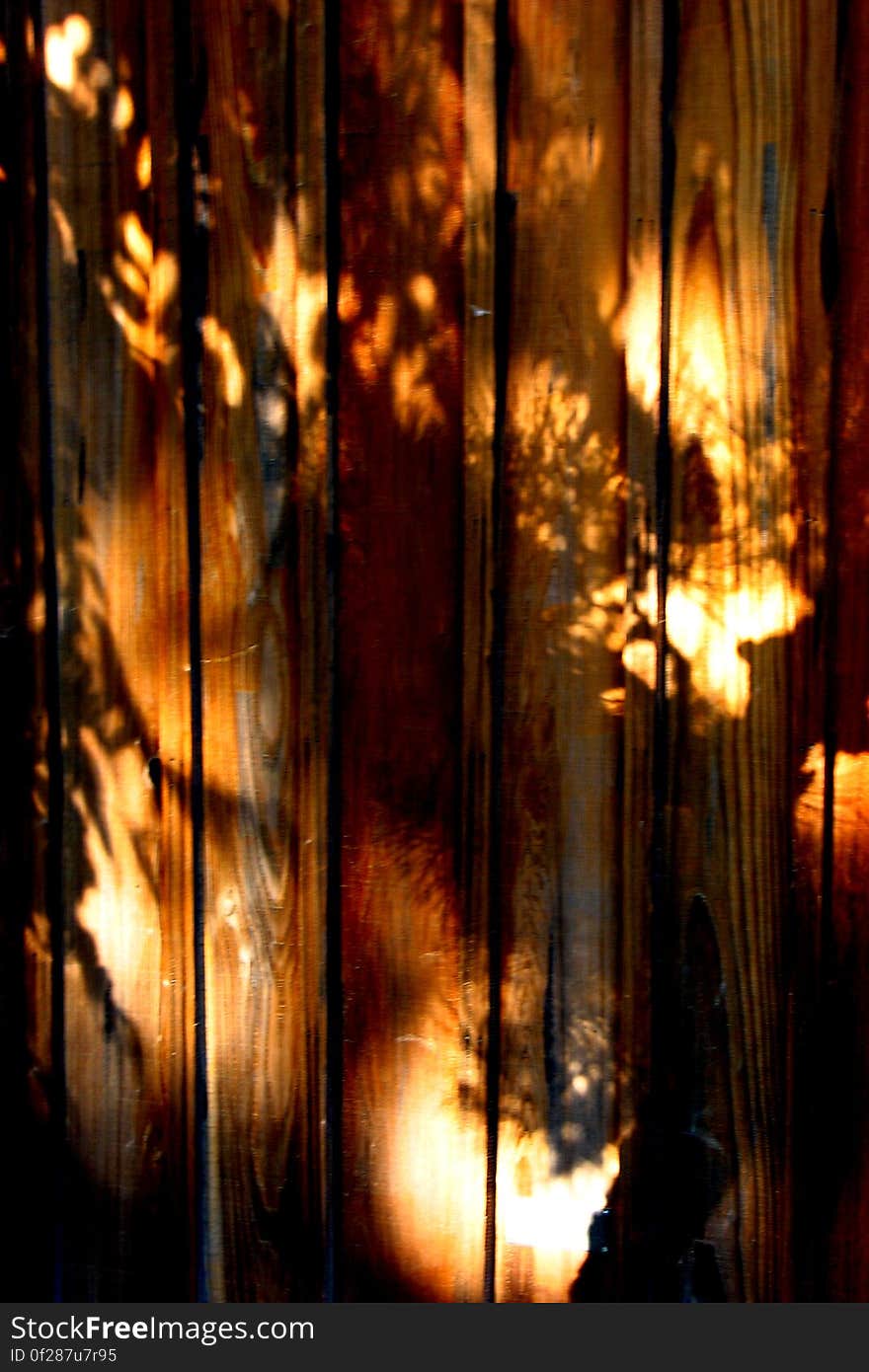 wood shadows