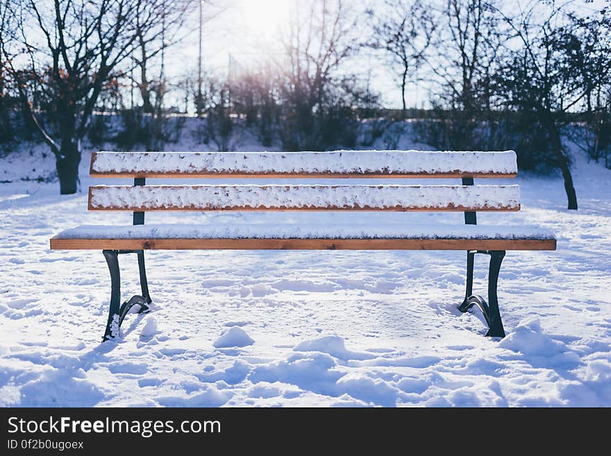 A bench covered in snow. A bench covered in snow.