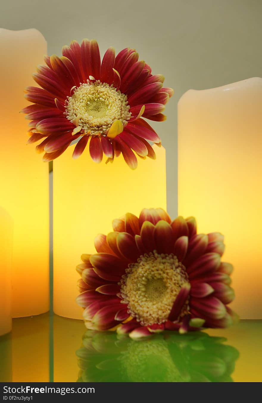 Gerbera Flowers And Lit Electric Candles On A Green Glass, Spa Style, Selective Focus