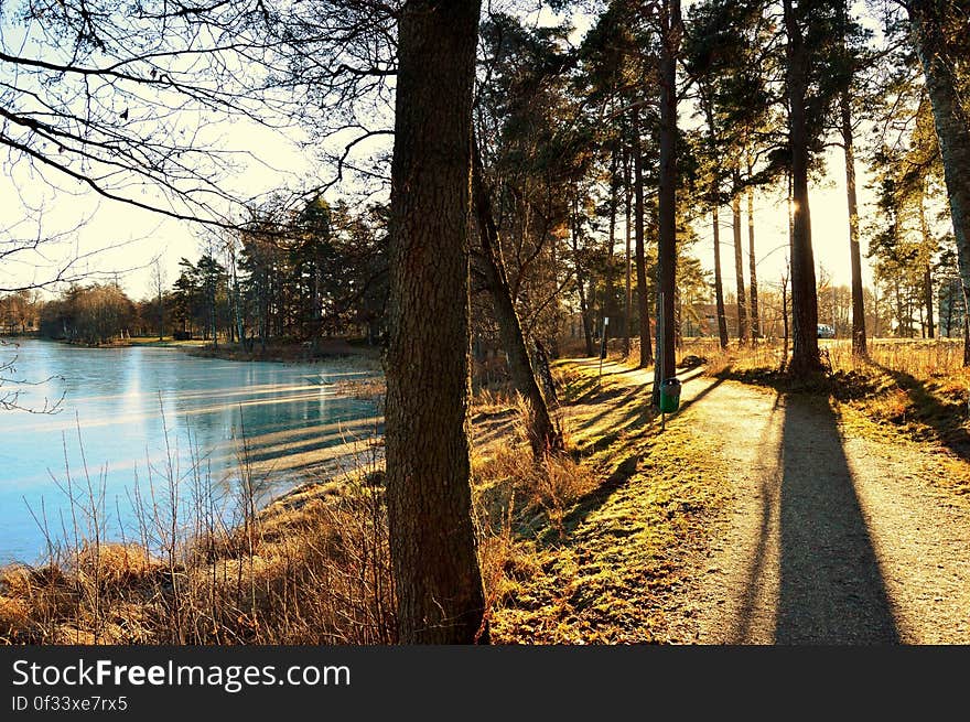 Coast of a frozen lake in Sweden. Coast of a frozen lake in Sweden.