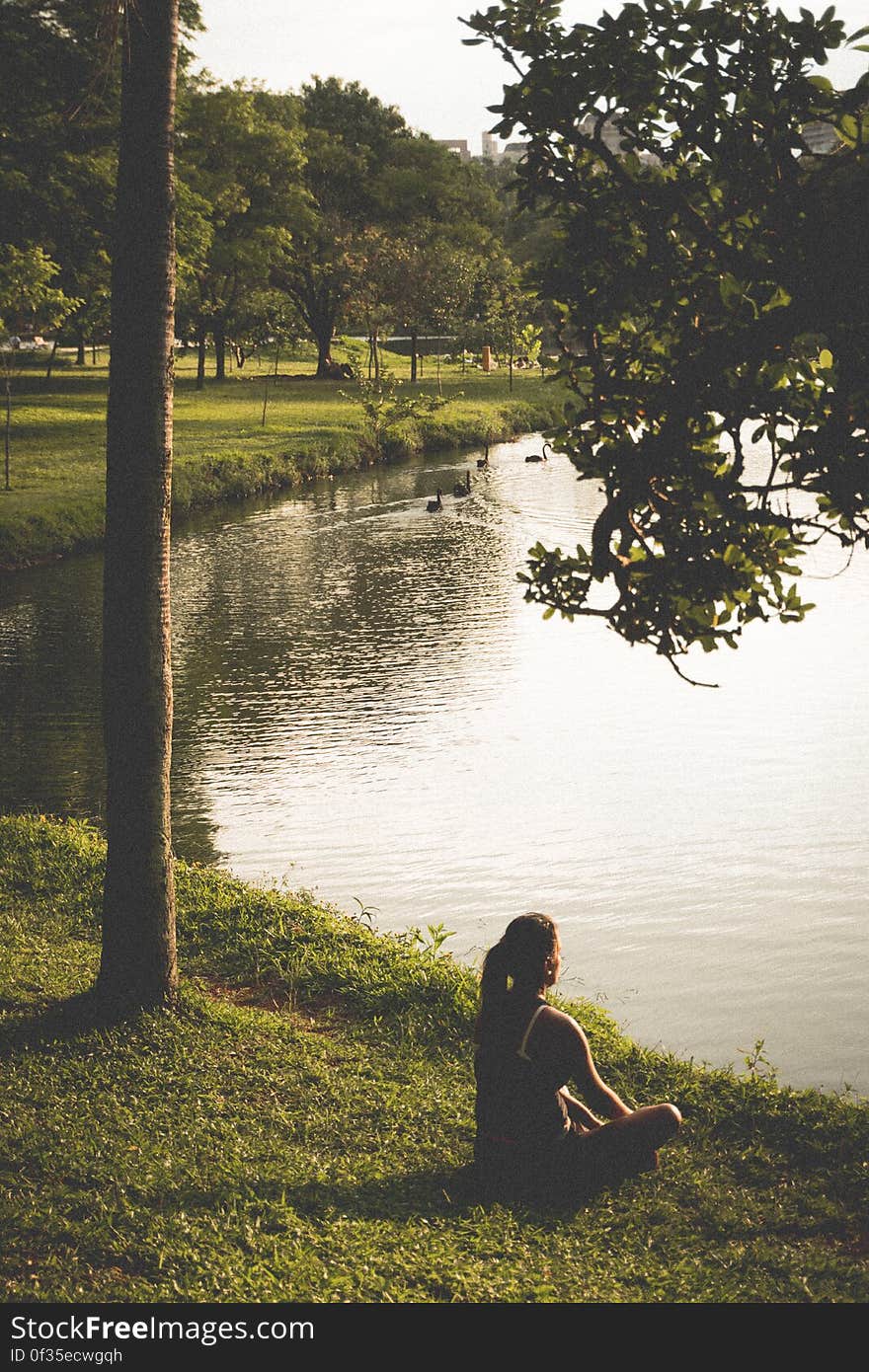 Woman Sitting on Grass by Lake