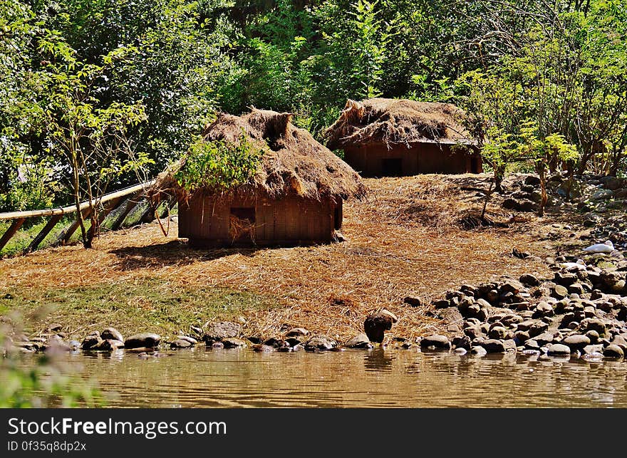 Brown Huts Beside Green Trees during Daytime