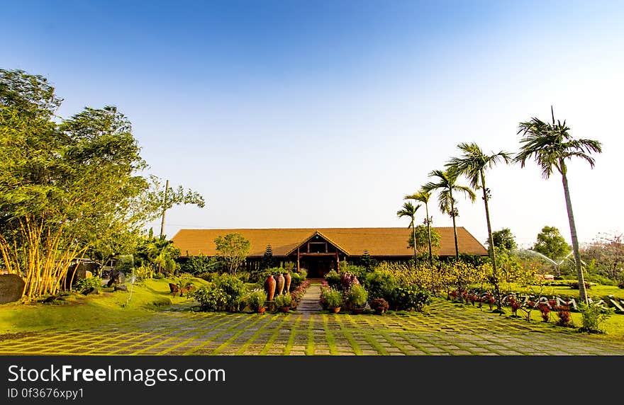 A house in tropics with a big green garden and palm trees.