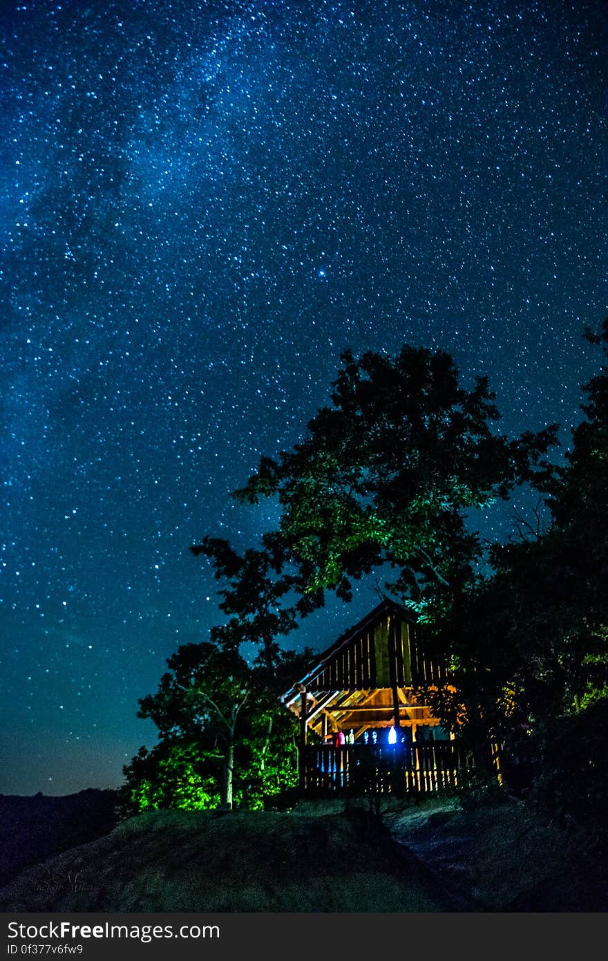 Starry skies above a house in the forest.