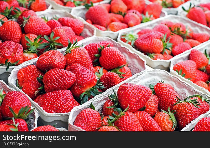 Red Strawberry Fruits