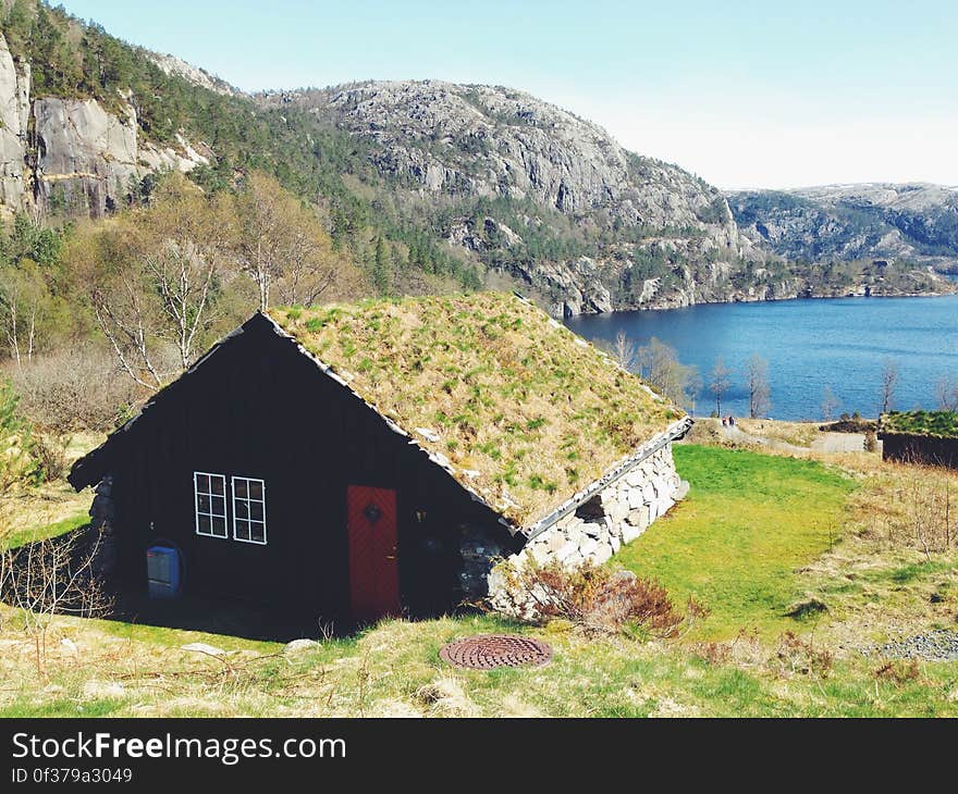 Green Brown and Red Wooden House on Green Grass