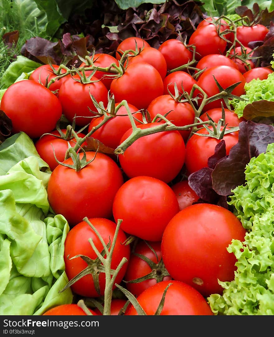 A close up of fresh tomatoes and lettuce.