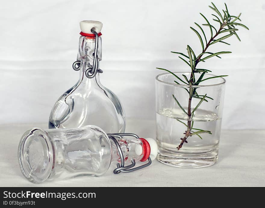 Green Leaf Plant on a Drinking Glass and Bottles