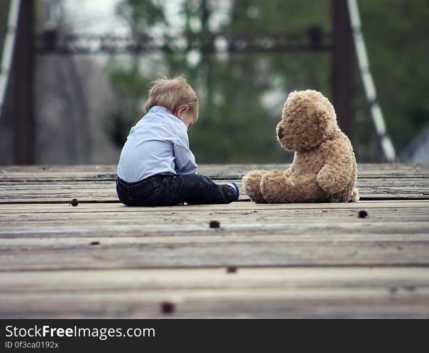 Small boy playing on wooden bridge with stuffed teddy bear. Small boy playing on wooden bridge with stuffed teddy bear.