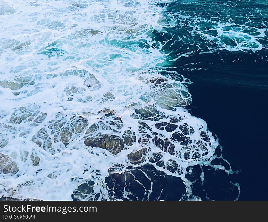 Close-up of Sea Foam