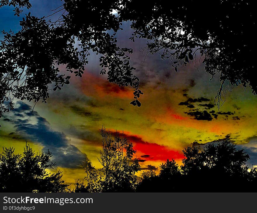 Yellow and red sunset in skies over tree tops. Yellow and red sunset in skies over tree tops.