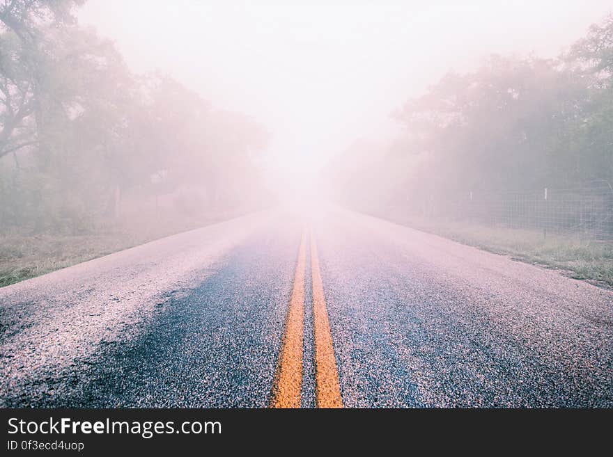 Brown and Yellow Concrete Road Street With Sunlight Fixture With Green Leaf Trees in the Side