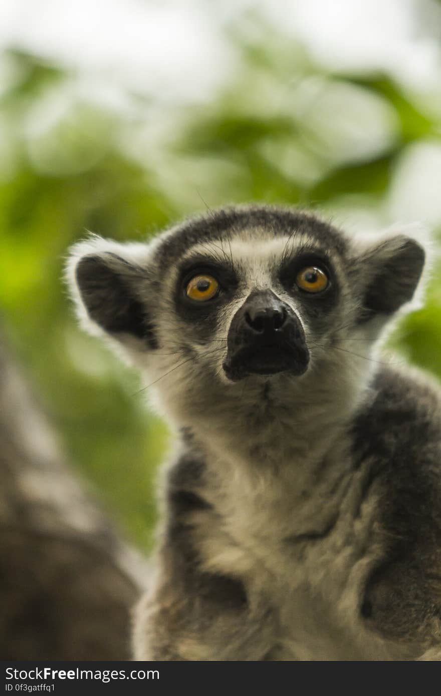 Budapest ZOO. Budapest ZOO