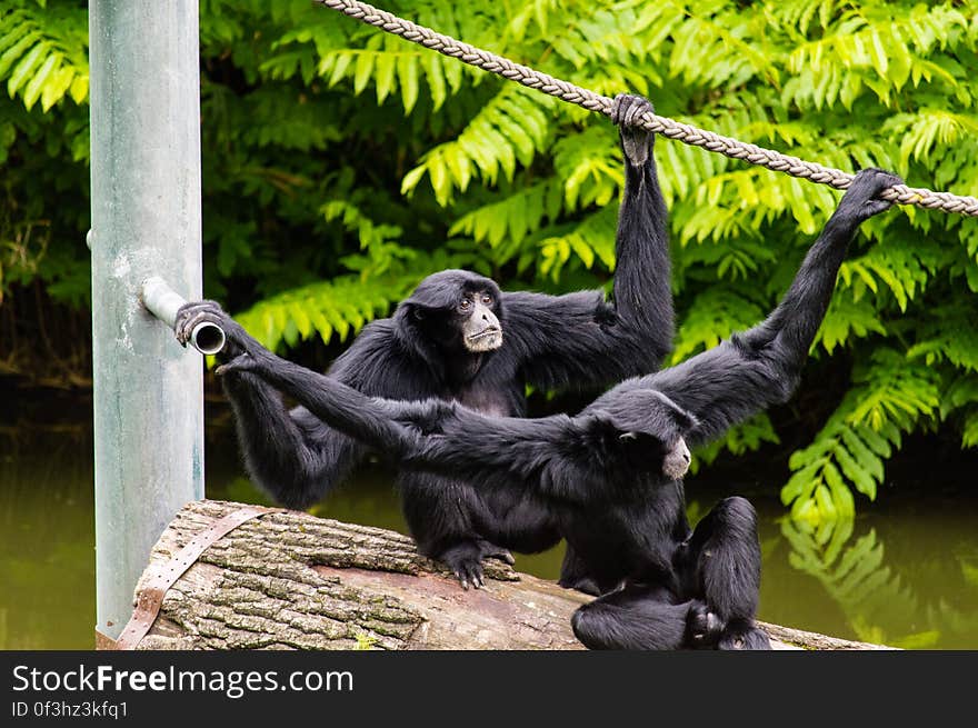 Dortmund Zoo