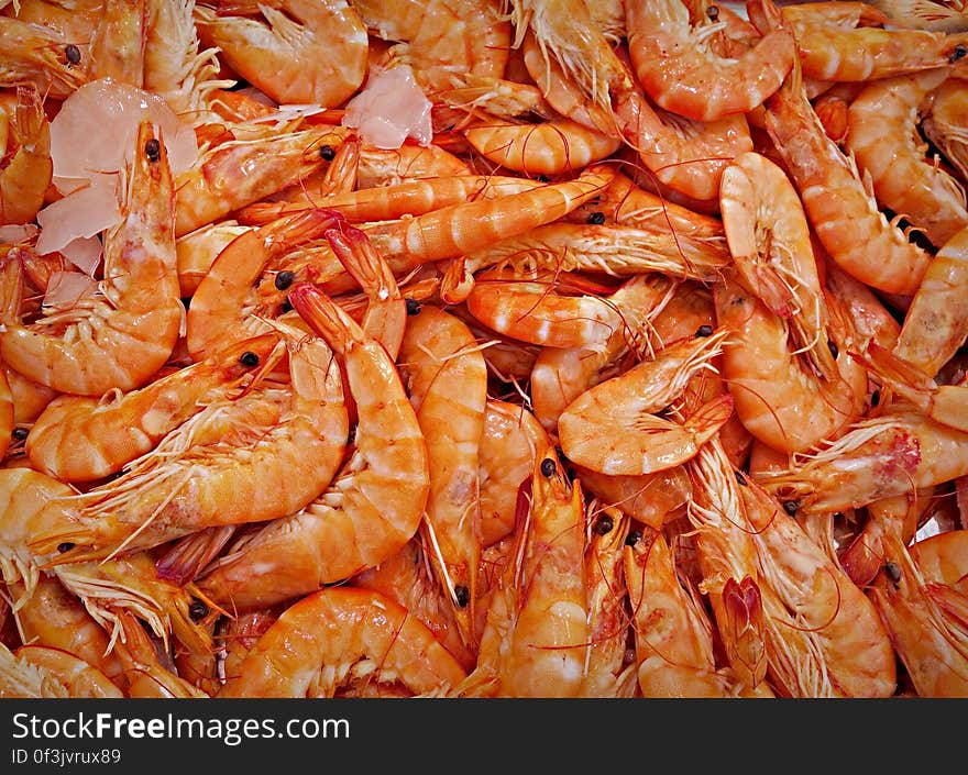 PUBLIC DOMAIN DEDICATION - Pixabay - digionbew 12. 15-07-16 Giant shrimp LOW RES PDSC06378