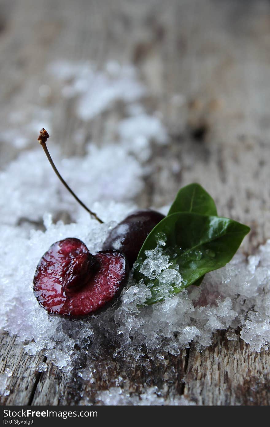 Close-up of Frozen Leaf