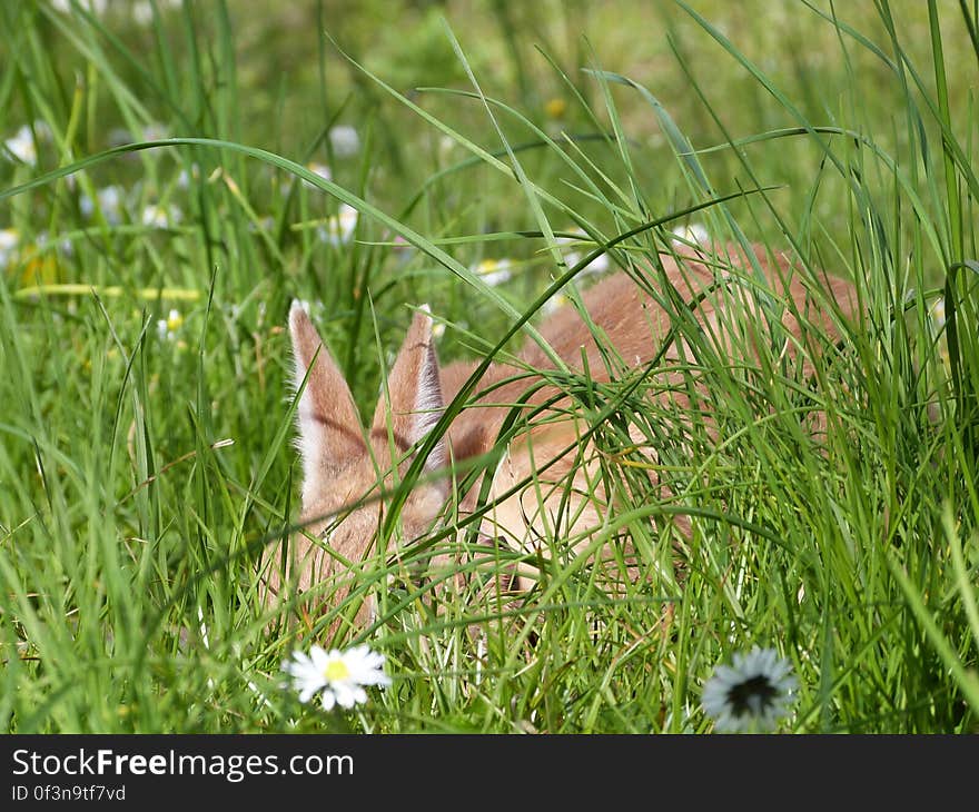 &#x22;You can never find me!&#x22;. &#x22;You can never find me!&#x22;