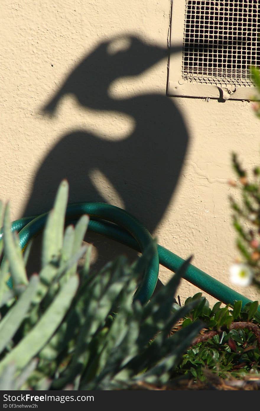 shadow of heron sculpture