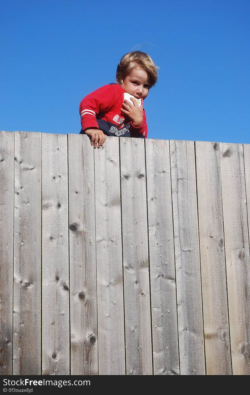 Sky, Wood, Happy, Fence, Tree, Recreation