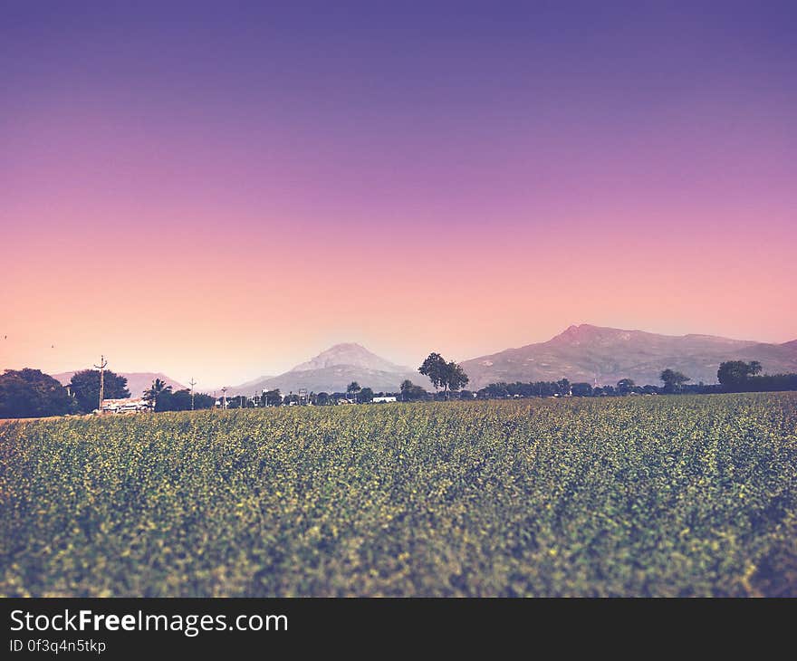 Green fields below colorful skies. Green fields below colorful skies.