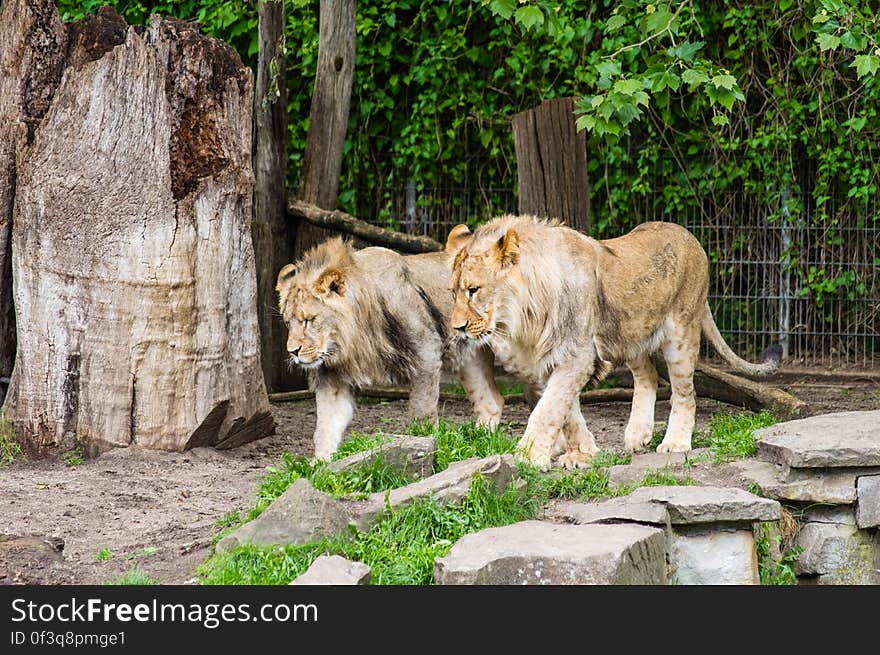 Dortmund Zoo