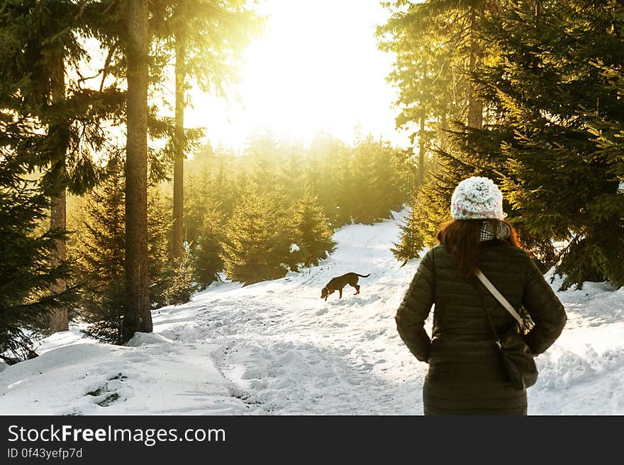 Rear View of Woman in Snow Covered Forest