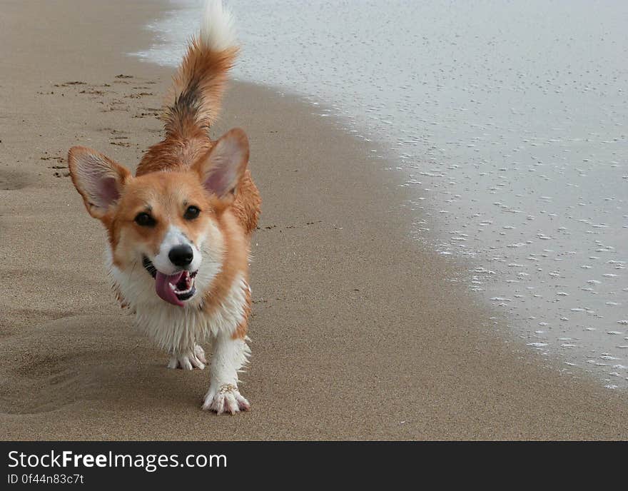 Beach day