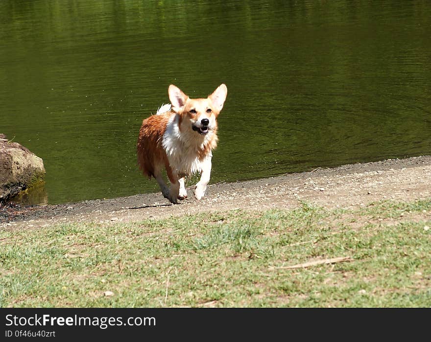 Nothing makes her happier than going to the lake. Nothing makes her happier than going to the lake.