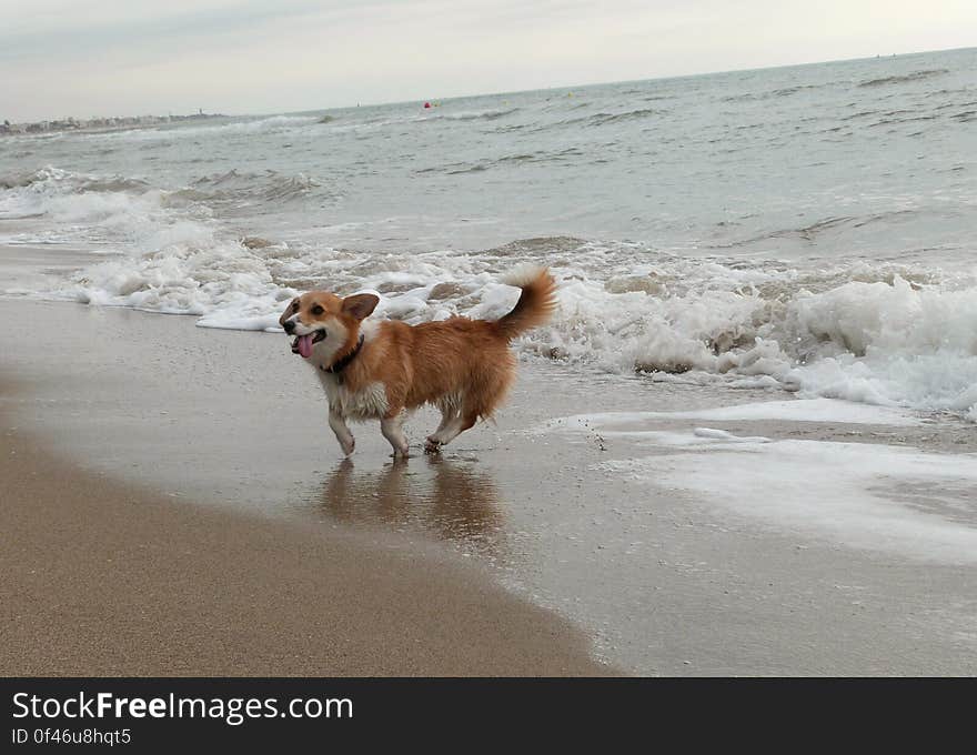 Beach day