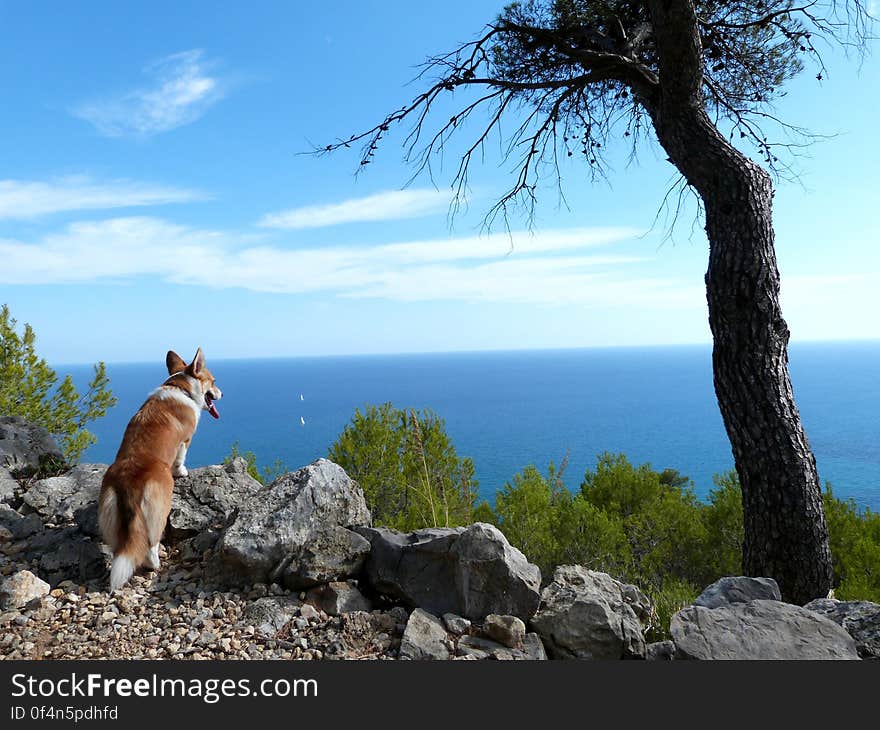 Sun hiking in Garraf