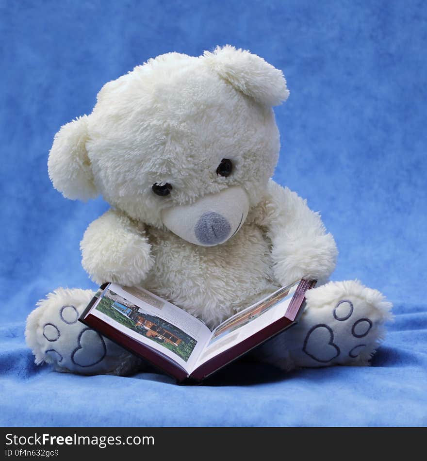 White Teddy Bear With Opened Book Photo