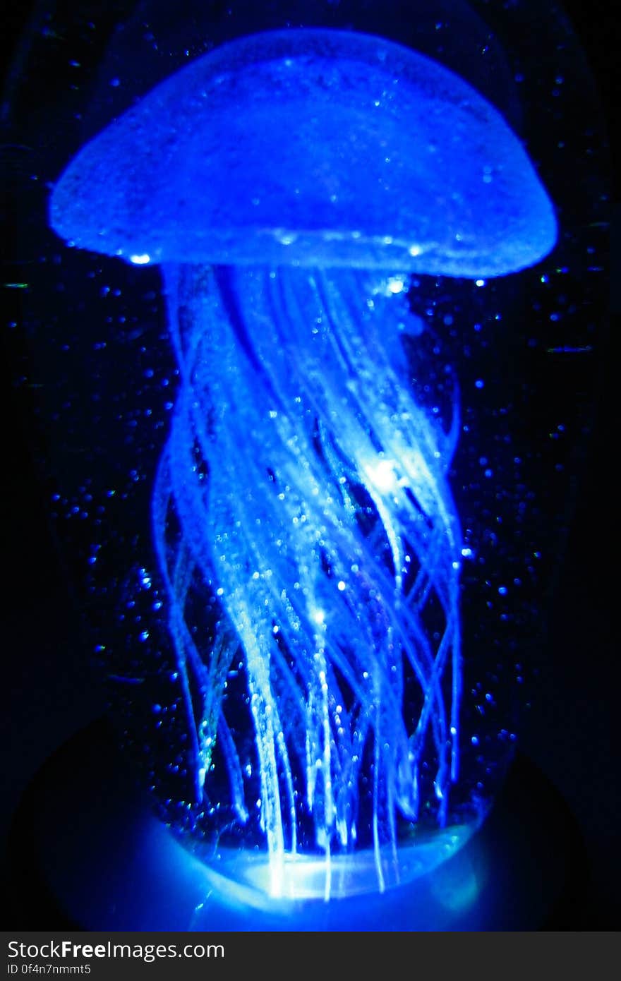 blue jellyfish