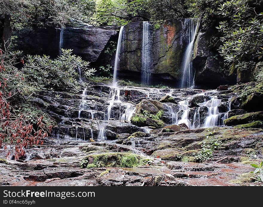 Close-up of Waterfall Against Trees