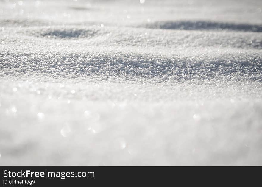 Snow Covered Ground