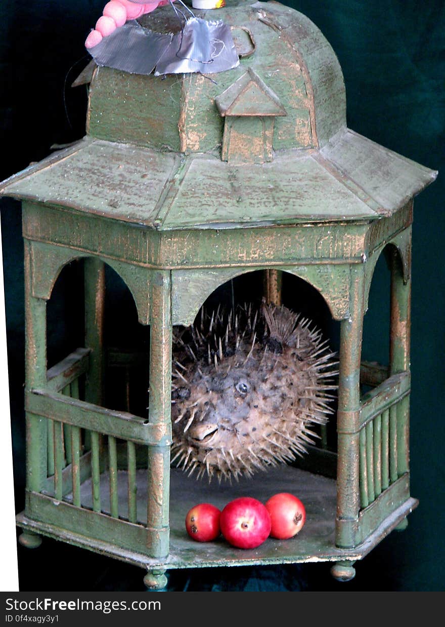 pufferfish in cage