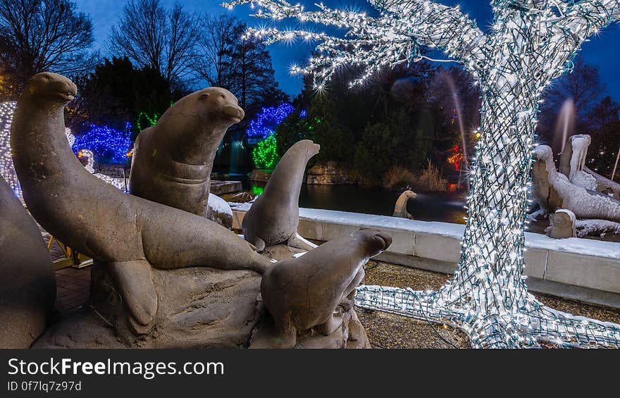 Sea Lion statues during the Wild Lights Christmas display at the St. Louis Zoo. Sea Lion statues during the Wild Lights Christmas display at the St. Louis Zoo.