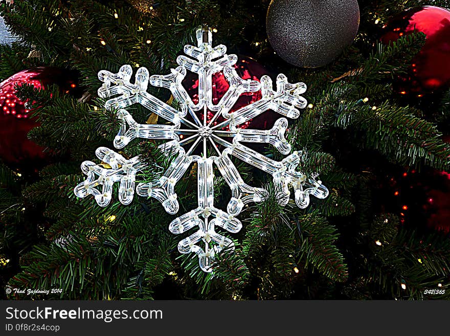 Love these LED snowflakes on Rockville&#x27;s tree Day 342 of my 365 Project. Love these LED snowflakes on Rockville&#x27;s tree Day 342 of my 365 Project