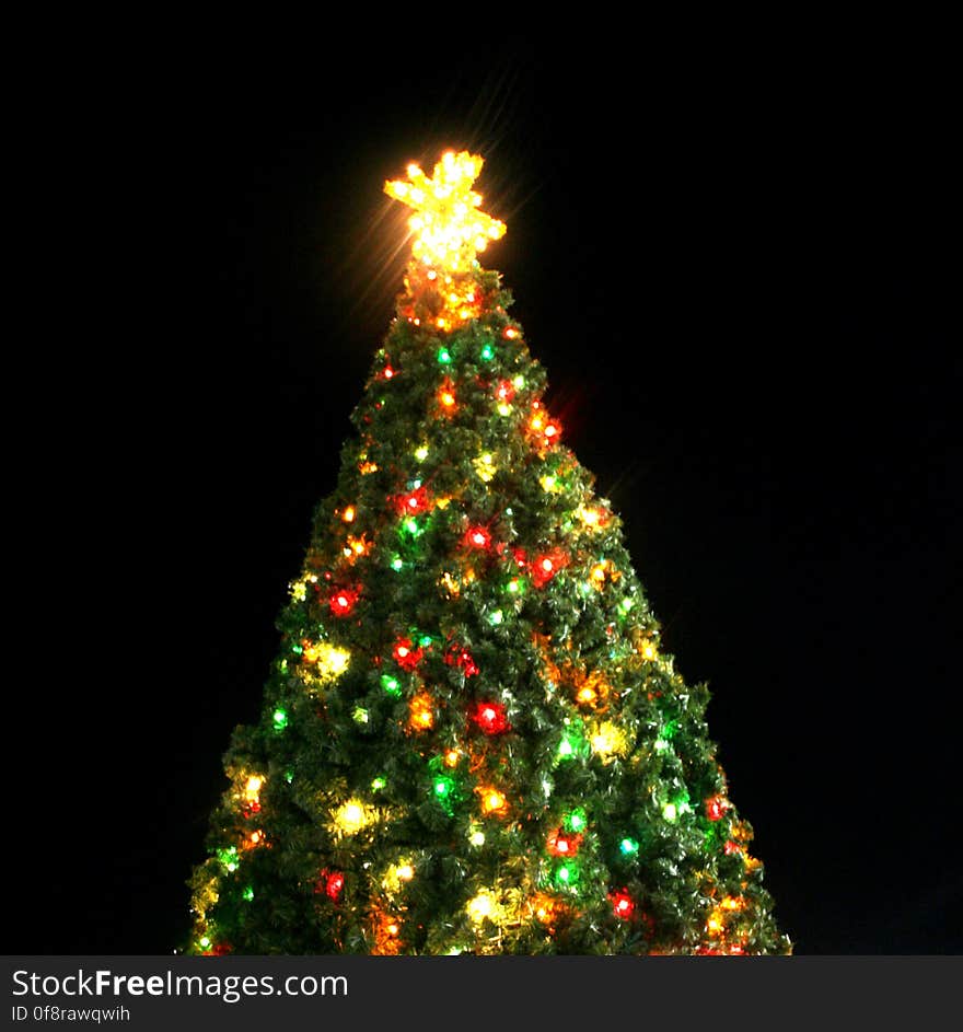 City of Waco Christmas tree. City of Waco Christmas tree.