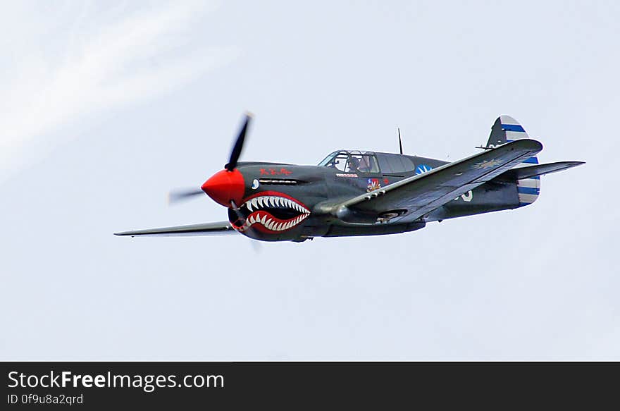 The Curtiss P-40 was a formidable fighter and ground attack aircraft in the right hands. Employed in theatres from China to New Guinea to the Aleutians to North Africa, P-40 variants had many names including the Tomahawk, Kittyhawk and Warhawk. The Kittyh After the war it was flown to the Rukuhia storage facility along with more than 100 other Kittyhawks, to be scrapped &#x28;out of the more than 300 Kittyhawks operated by the RNZAF&#x29;. It was rescued in 1959 by a group of schoolboys led by Charles Darby, who scraped together 25 pounds to buy it. NZ 3009 was chosen partly because it was nearest to the gate!. The Curtiss P-40 was a formidable fighter and ground attack aircraft in the right hands. Employed in theatres from China to New Guinea to the Aleutians to North Africa, P-40 variants had many names including the Tomahawk, Kittyhawk and Warhawk. The Kittyh After the war it was flown to the Rukuhia storage facility along with more than 100 other Kittyhawks, to be scrapped &#x28;out of the more than 300 Kittyhawks operated by the RNZAF&#x29;. It was rescued in 1959 by a group of schoolboys led by Charles Darby, who scraped together 25 pounds to buy it. NZ 3009 was chosen partly because it was nearest to the gate!