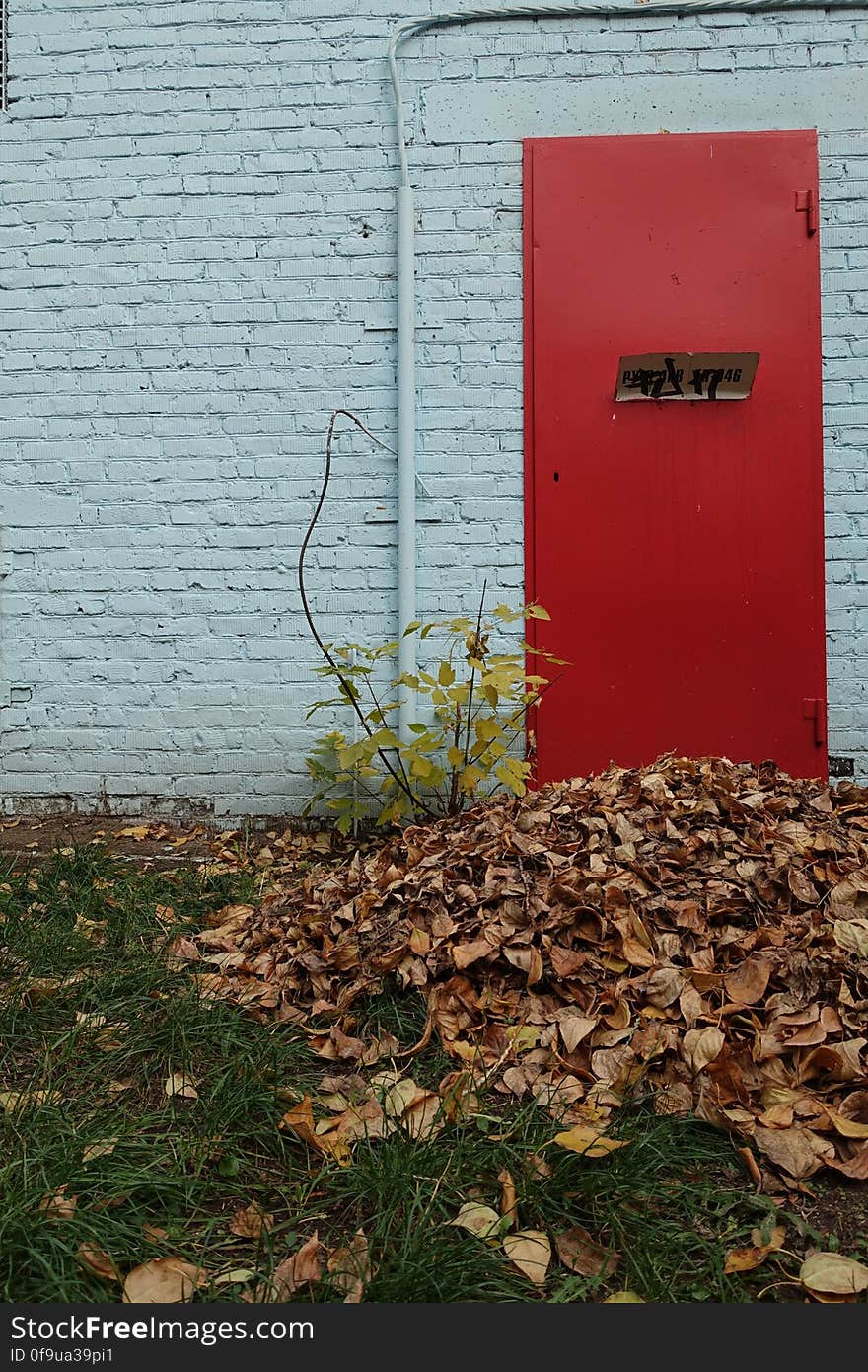 Plant, Road surface, Wood, Door, Brickwork, Asphalt