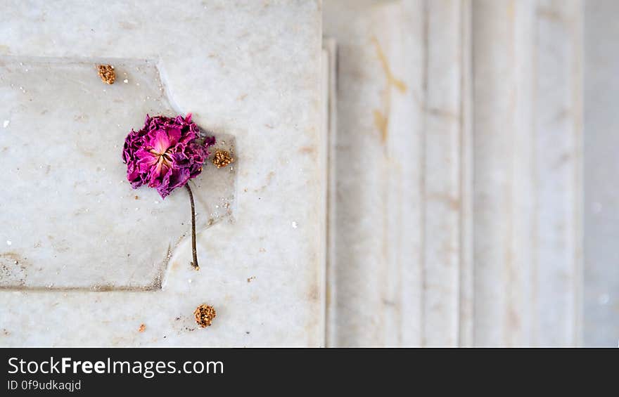 Although, God knows, I may not have met her. Paigah Tombs, Hyderabad &#x28;And i know that isn&#x27;t a rose&#x29; www.youtube.com/watch?v=5awX1_J3IHk. Although, God knows, I may not have met her. Paigah Tombs, Hyderabad &#x28;And i know that isn&#x27;t a rose&#x29; www.youtube.com/watch?v=5awX1_J3IHk