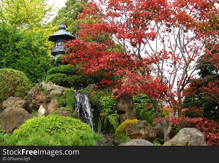 Japanese garden