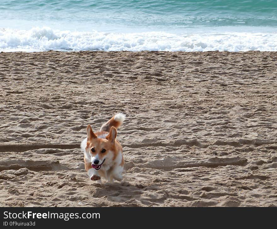 Just another beach day with Sun