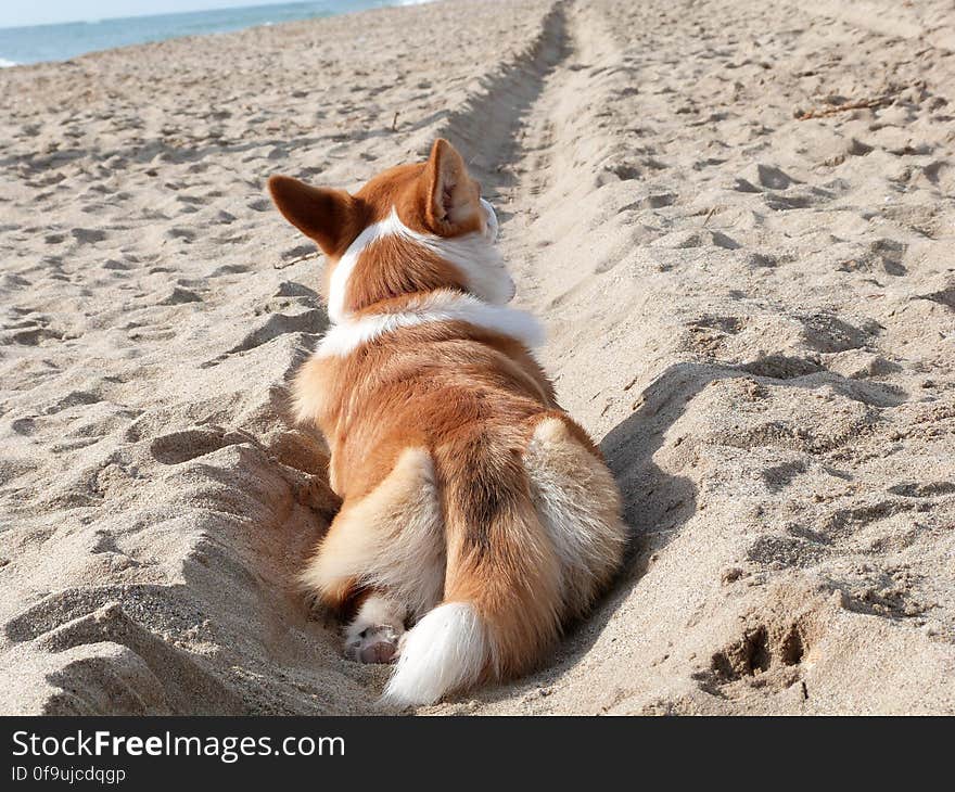 Just another beach day with Sun