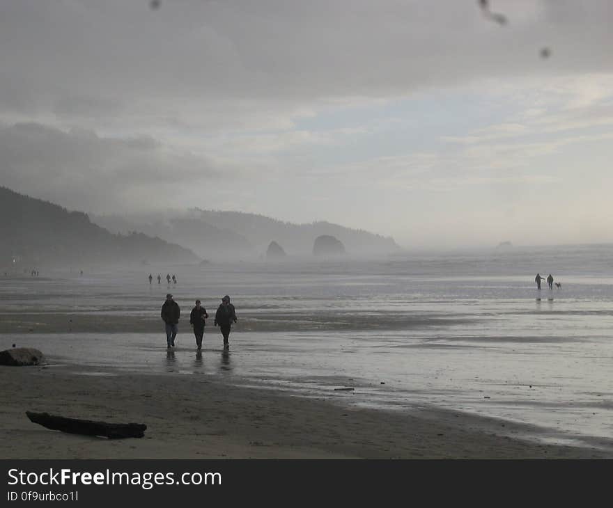 Cannon Beach Scenery 2005 - 25.JPG