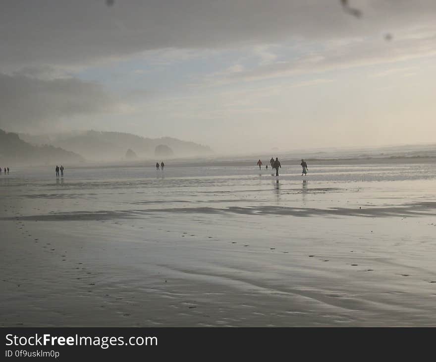 Cannon Beach Scenery 2005 - 27.JPG