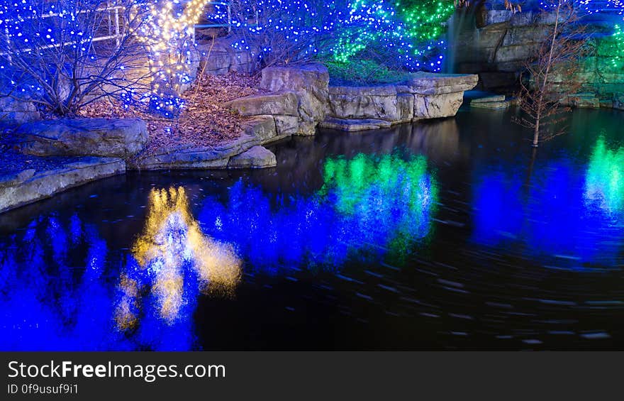 Wild Lights Christmas display at the St. Louis Zoo. © Copyright Philip Leara - Creative Commons - Attribution-NonCommercial-ShareAlike &#x28;CC BY-NC-SA 3.0&#x29;. Wild Lights Christmas display at the St. Louis Zoo. © Copyright Philip Leara - Creative Commons - Attribution-NonCommercial-ShareAlike &#x28;CC BY-NC-SA 3.0&#x29;